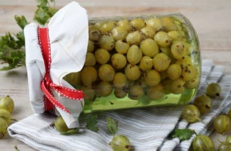 Маринованный крыжовник
