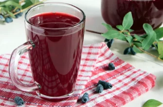 Компот из жимолости