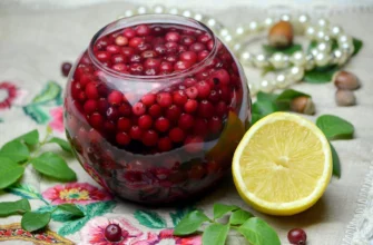 Моченая брусника